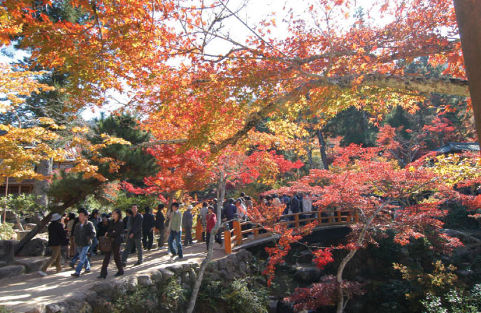 もみじ谷公園