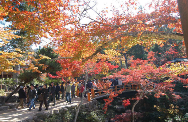 もみじ谷公園